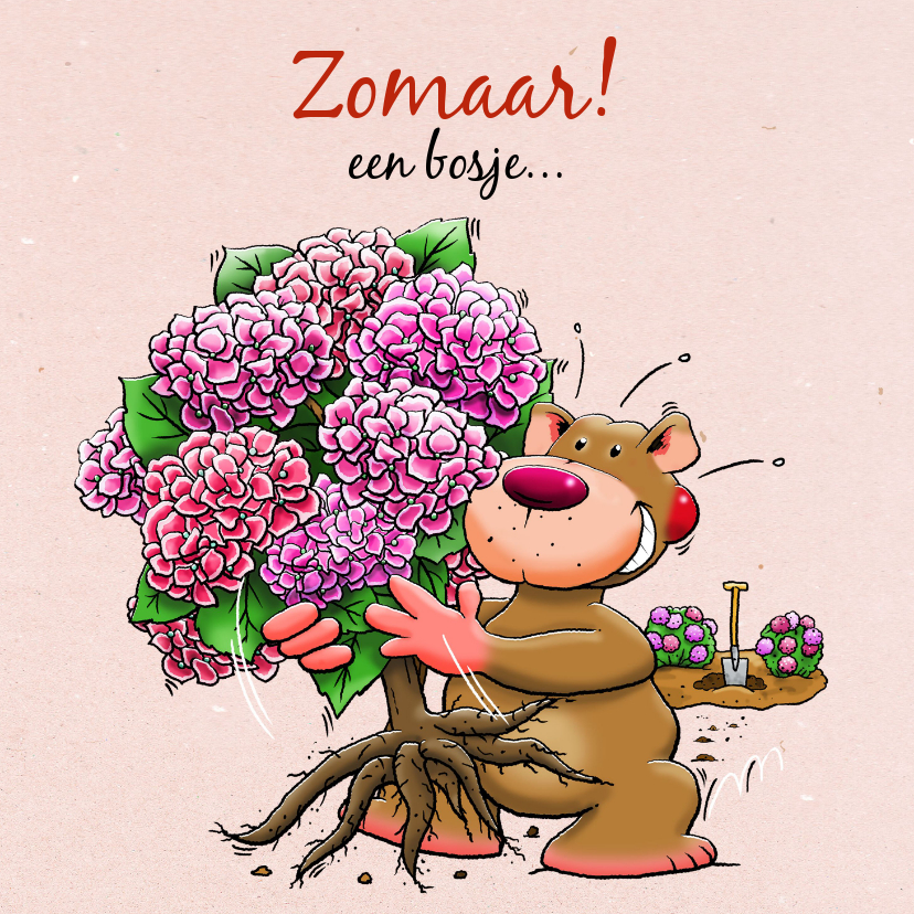 Leuke vriendschapskaart met hortensia, geplukt voor vriendin - Vriendschap kaarten Vriendschap kaarten - Leuke vriendschapskaart met hortensia, geplukt voor vriendin
