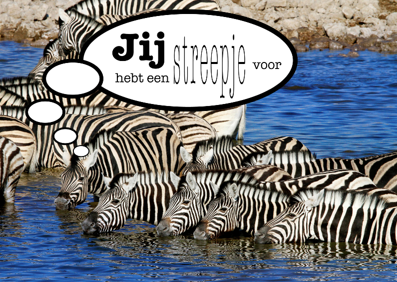 Zebra 2 - Streepje Voor - OT - Vriendschap kaarten Vriendschap kaarten - Zebra 2 - Streepje Voor - OT