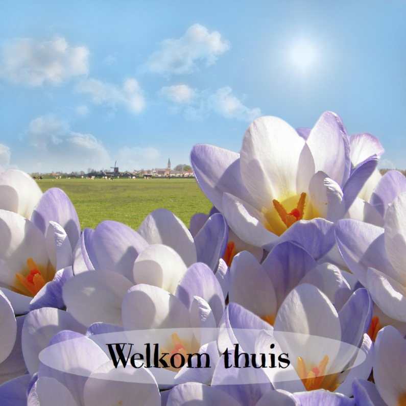 Welkom met voorjaarsbloemen - Welkom thuis kaarten Welkom thuis kaarten - Welkom met voorjaarsbloemen