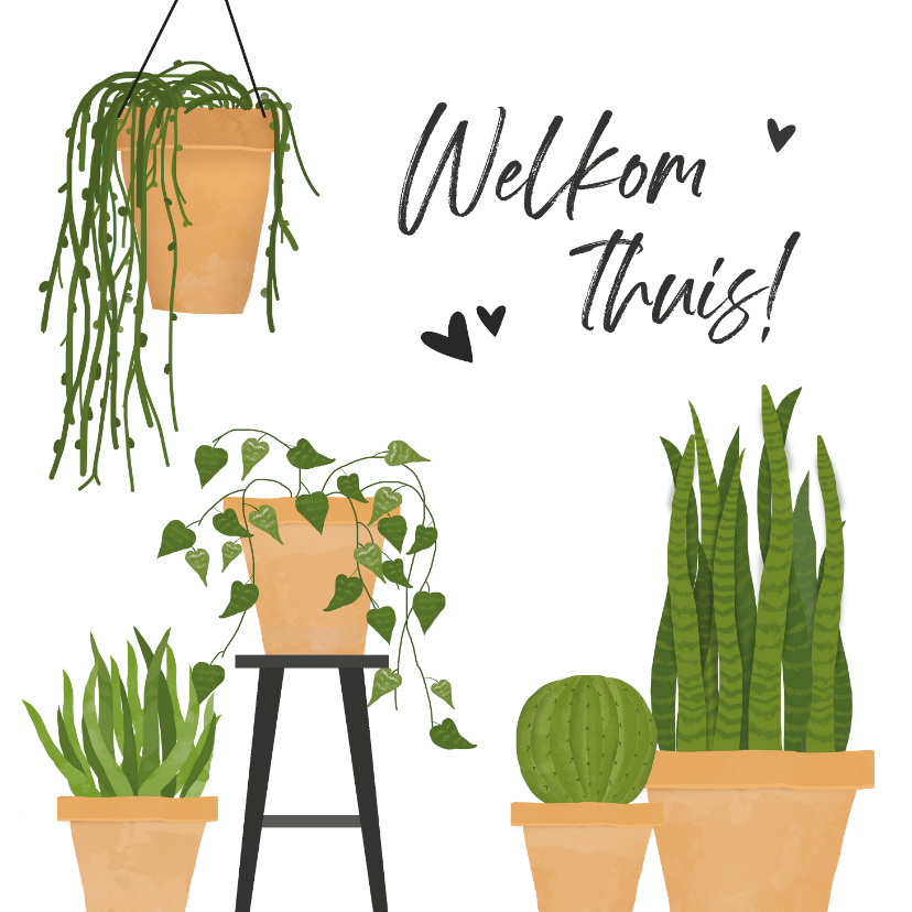 Welkom thuis kaart met groene kamerplanten - Welkom thuis kaarten Welkom thuis kaarten - Welkom thuis kaart met groene kamerplanten