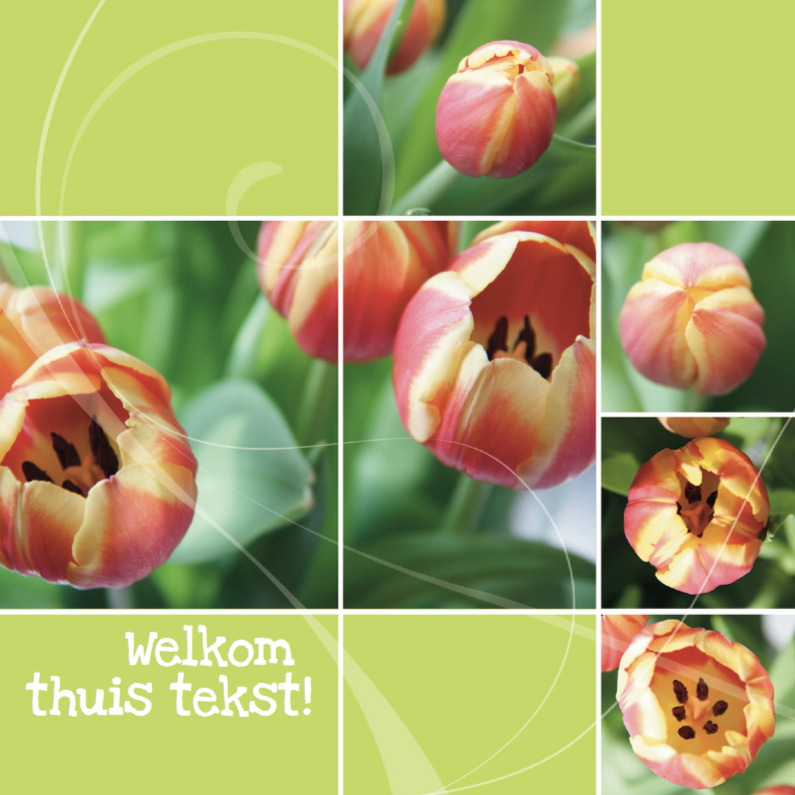Welkom thuis open tulp - Welkom thuis kaarten Welkom thuis kaarten - Welkom thuis open tulp