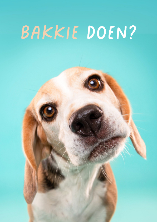 Wenskaarten - Afspreken verzoek kaart van hond met schuin koppie 