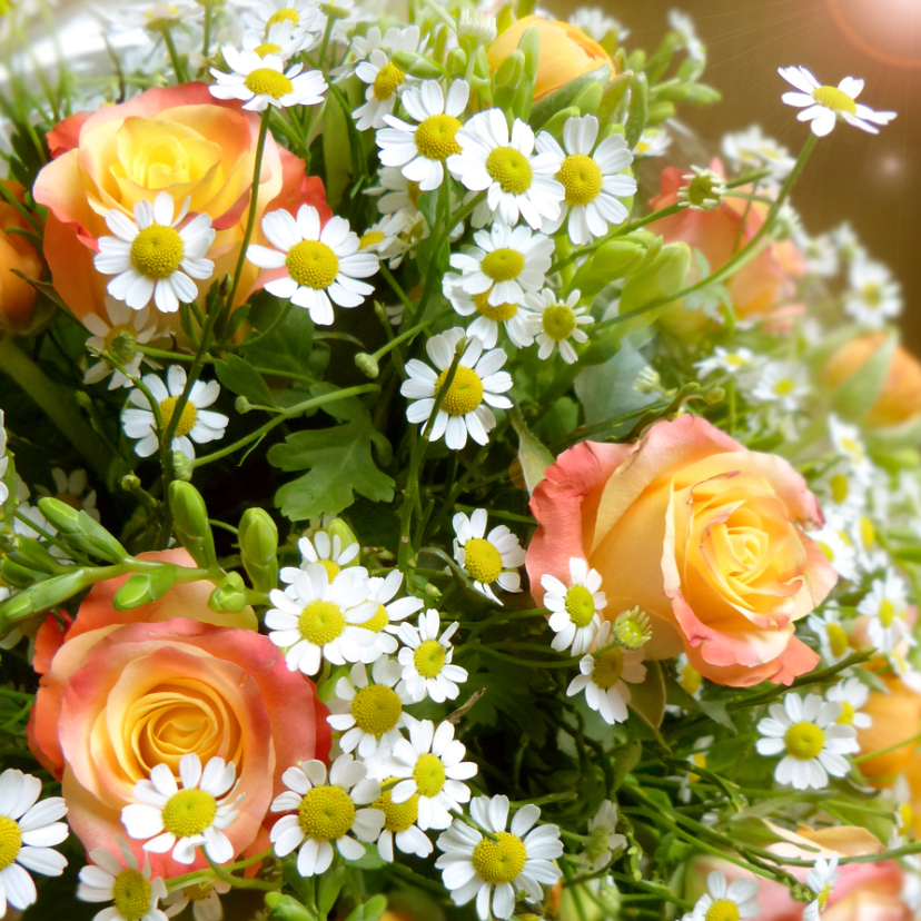 Bloemen Lief Rozenboeket - Wenskaarten Wenskaarten - Bloemen Lief Rozenboeket