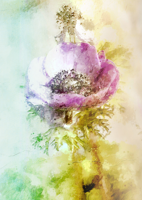 Bloemenkaart anemoon painting - Wenskaarten Wenskaarten - Bloemenkaart anemoon painting