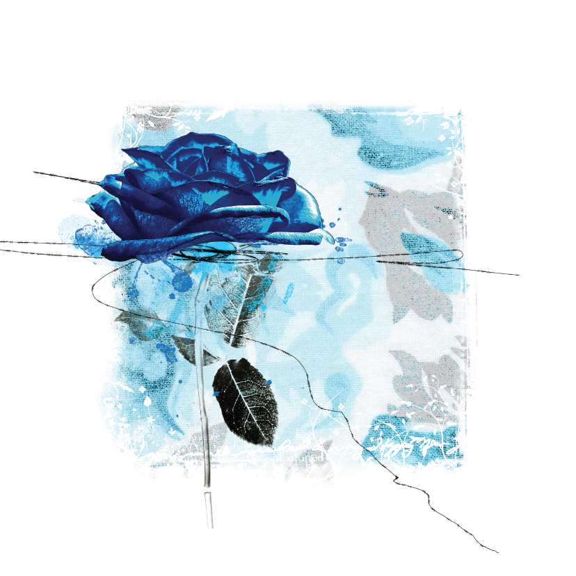 Wenskaarten - Bloemenkaart blauwe roos op vierkant
