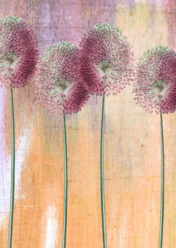 Bloemenkaart bol bloemen illustratie - Wenskaarten Wenskaarten - Bloemenkaart bol bloemen illustratie