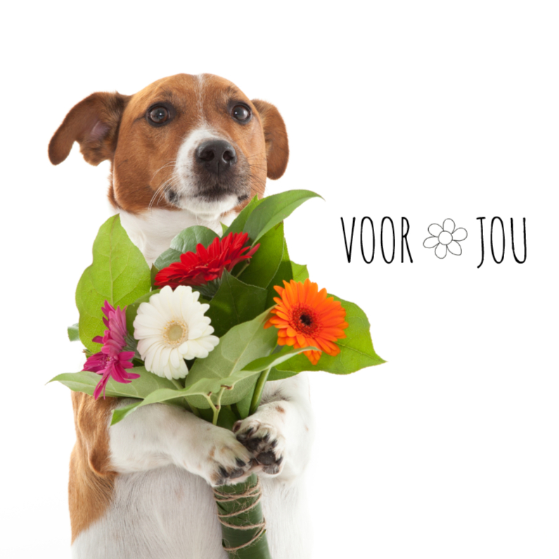 Wenskaarten - Bloemenkaart - Boris de hond - Voor jou
