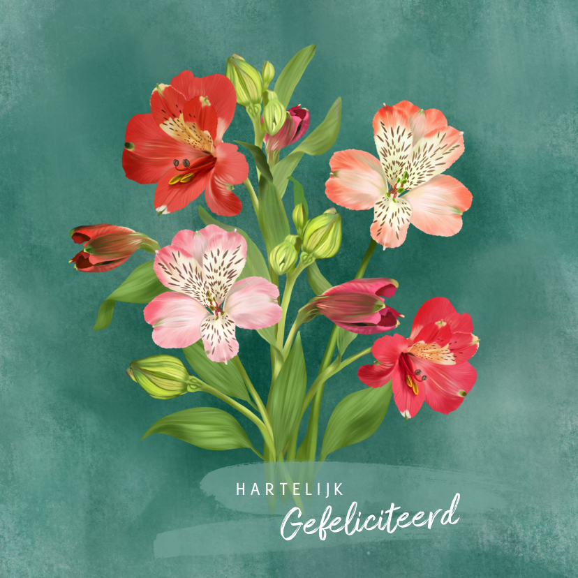 Wenskaarten - Bloemenkaart met boeket Alstroemeria