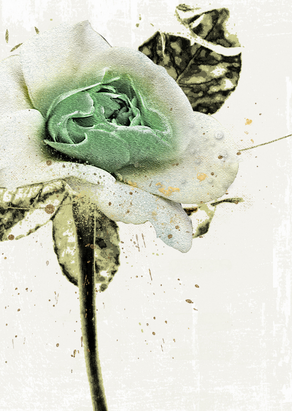 Wenskaarten - Bloemenkaart roos tone in tone