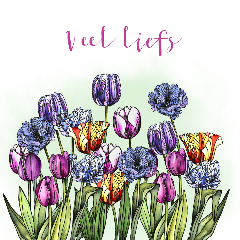 Wenskaarten - Bloemenkaart tulpen kleurrijk