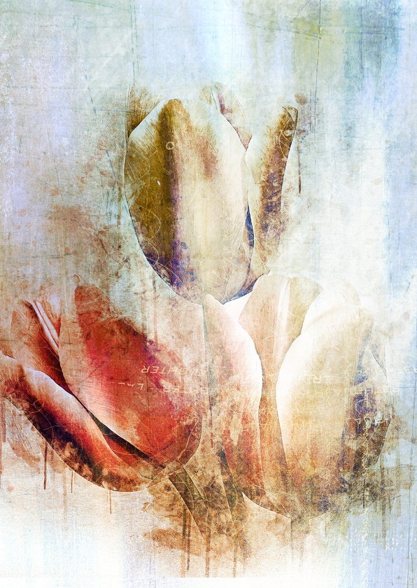 Wenskaarten - Bloemenkaart tulpen schilderij