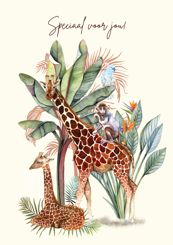 Wenskaarten - Dieren giraffes jungle