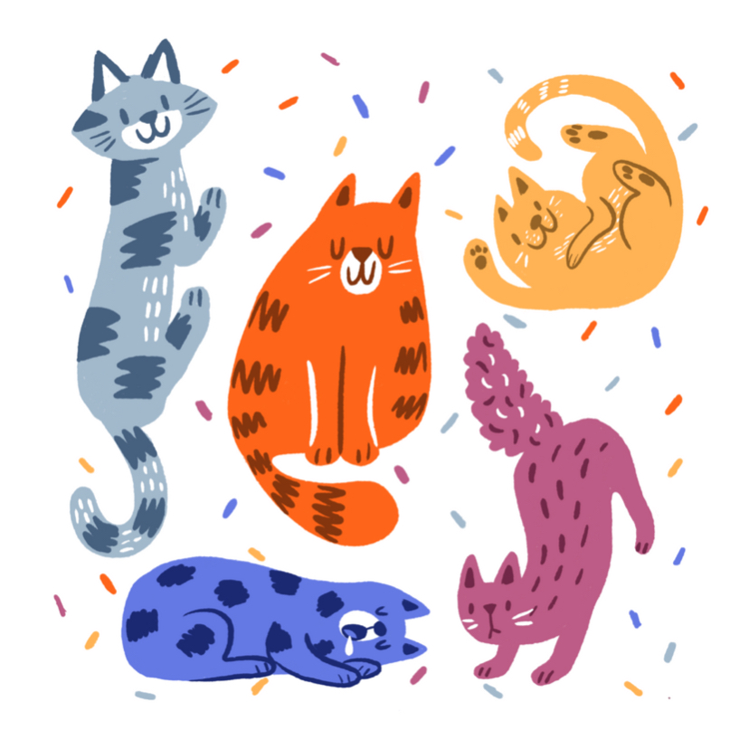 Dierenkaart feestelijke katten - Wenskaarten Wenskaarten - Dierenkaart feestelijke katten