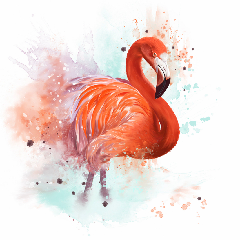 Wenskaarten - Dierenkaart flamingo waterverf