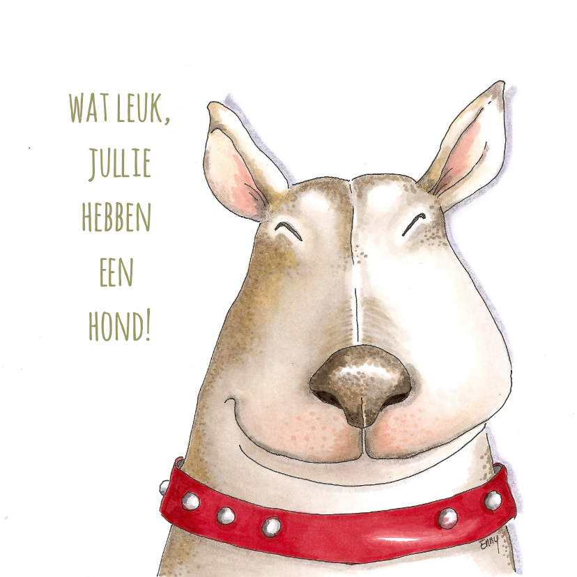 Wenskaarten - Dierenkaart - hoera jullie hebben een hond
