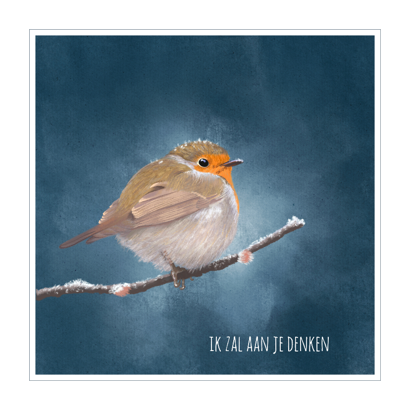 Dierenkaart roodborst in pastel - Wenskaarten Wenskaarten - Dierenkaart roodborst in pastel