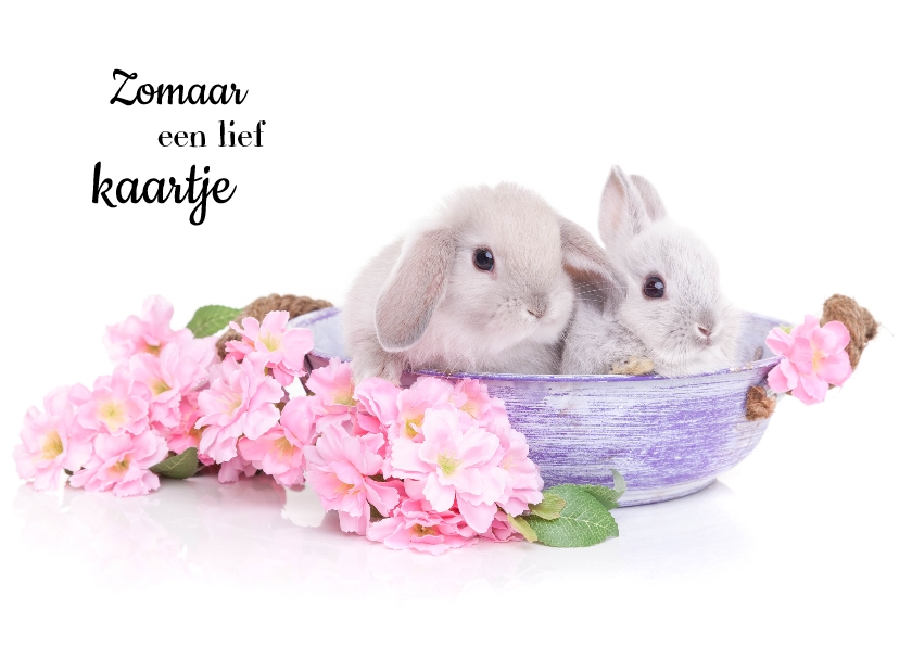 Wenskaarten - Dierenkaart - Schattige Konijntjes