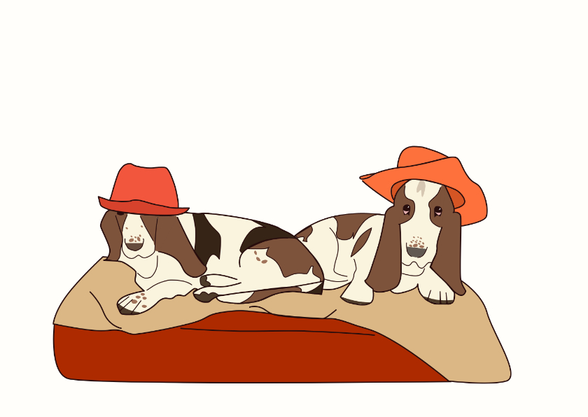 Wenskaarten - Dierenkaart vrolijke honden met hoedje op