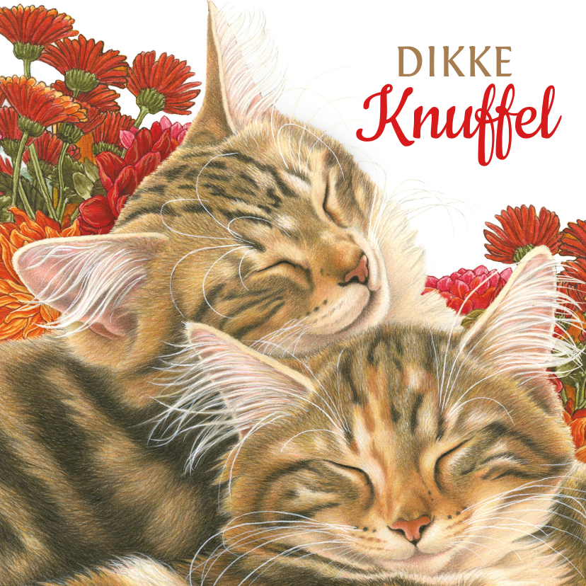 Wenskaarten - Dikke Knuffel kaart met katten en bloemen