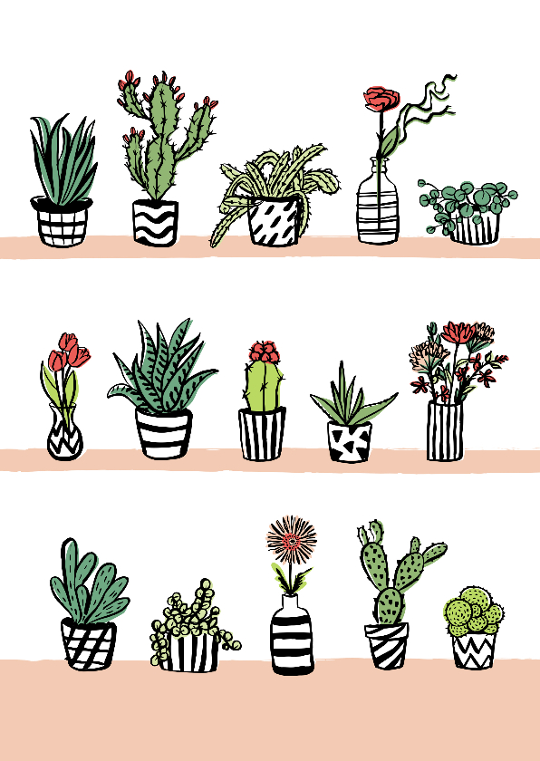 Wenskaarten - Fleurige kaart cactussen en bloemen