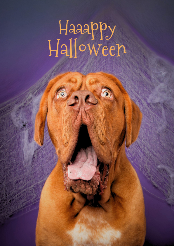 Grappige halloween kaart van hond met open bek - Wenskaarten Wenskaarten - Grappige halloween kaart van hond met open bek