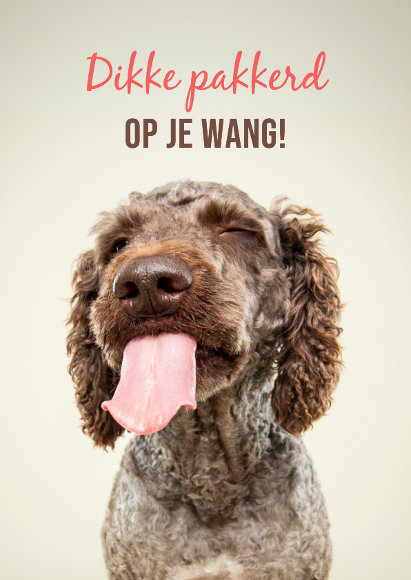 Wenskaarten - Grappige hondenkaart dikke pakkerd op je wang