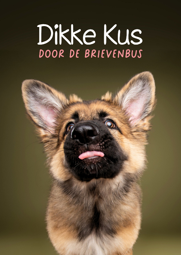 Grappige wenskaar van hond met tong, kus door de brievenbus - Wenskaarten Wenskaarten - Grappige wenskaar van hond met tong, kus door de brievenbus
