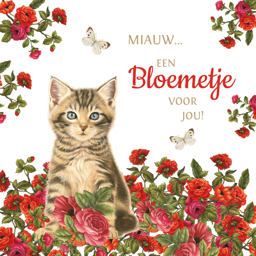 Wenskaarten - Kaart met kitten miauw een bloemetje voor jou