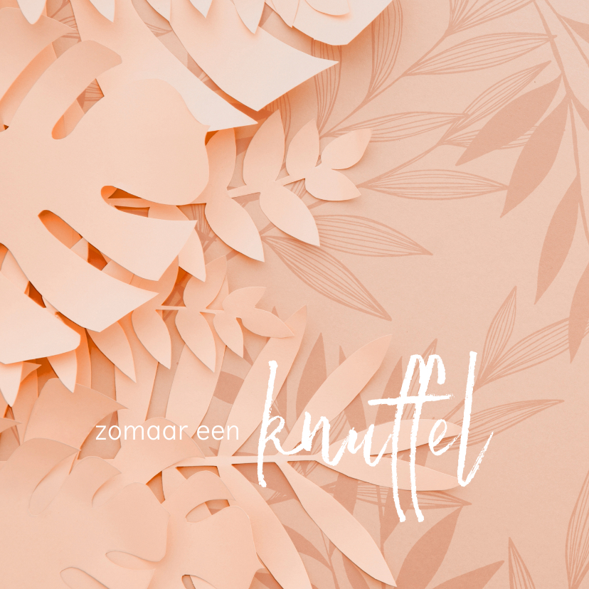 Wenskaarten - Knuffel kaart met roze bloemen