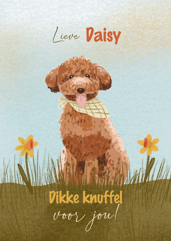 Wenskaarten - Knuffelkaart hond en narcissen om zomaar te versturen