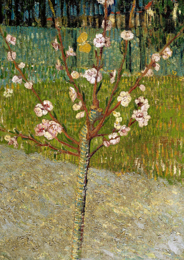 Wenskaarten - Kunstjaart Vincent van Gogh. Perenboompje in bloesem