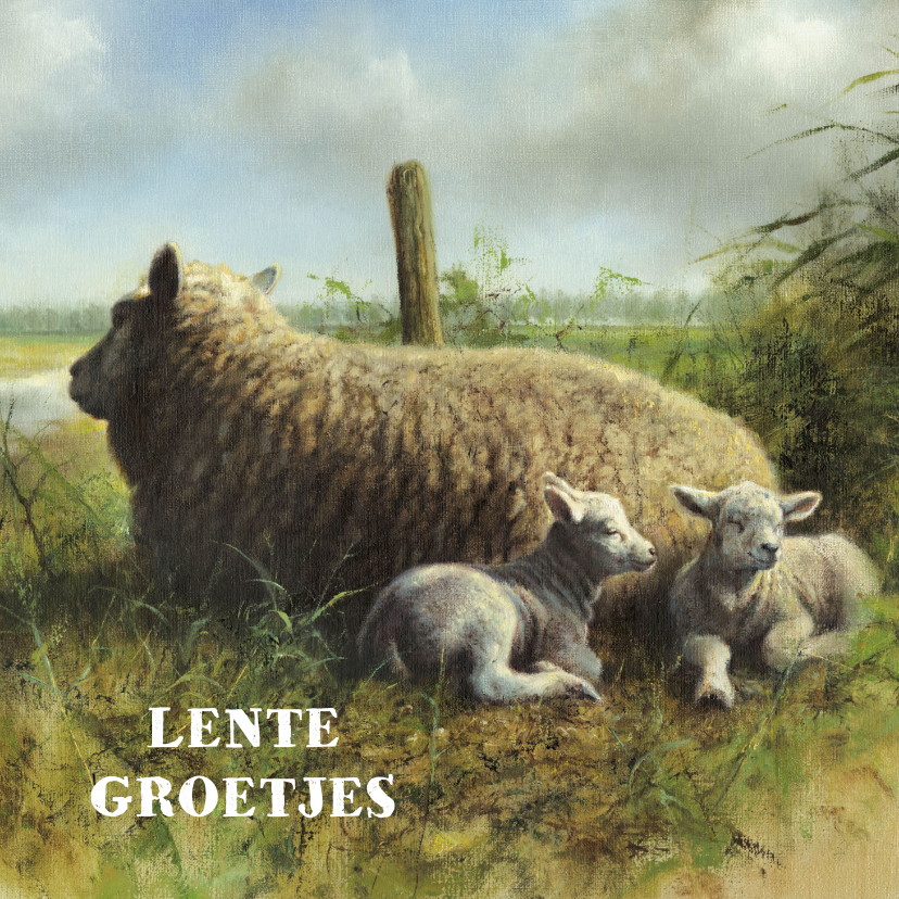 Wenskaarten - Kunstkaart met schapen in Nederlands landschap