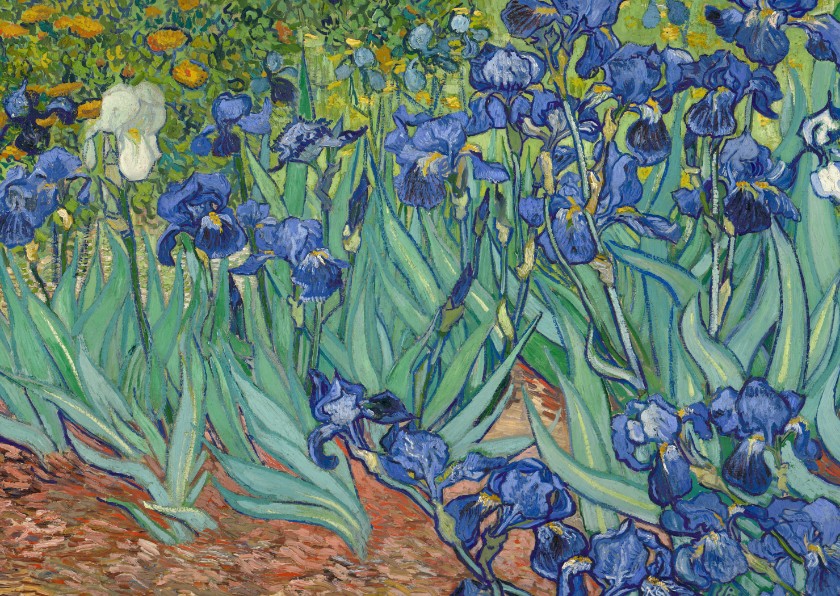 Wenskaarten - Kunstkaart van Vincent van Gogh. Irissen