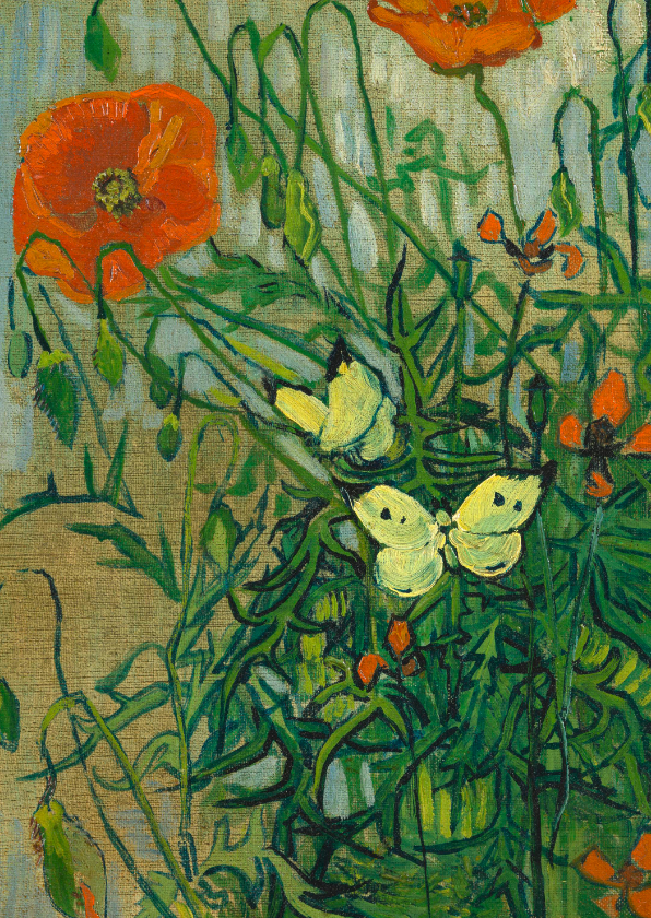 Wenskaarten - kunstkaart van Vincent van Gogh. Vlinders en klaprozen