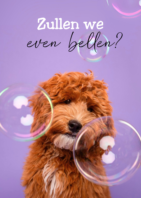 Leuke hondenkaart met vraag om even te bellen - Wenskaarten Wenskaarten - Leuke hondenkaart met vraag om even te bellen
