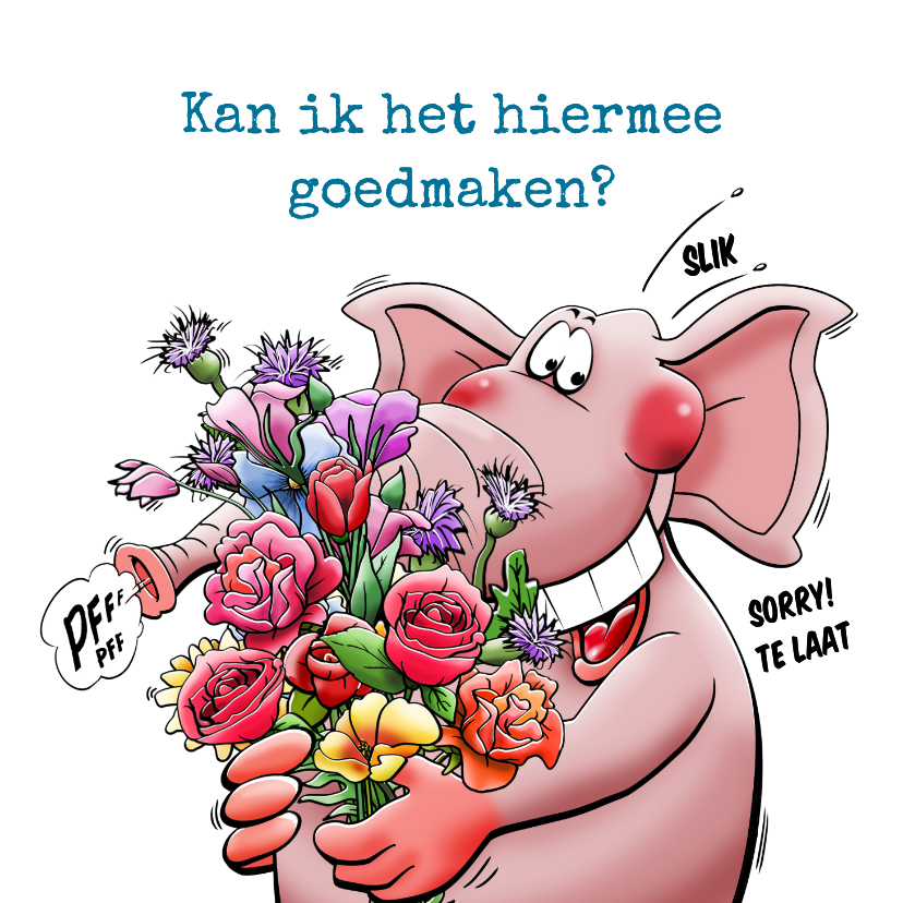 Wenskaarten - Leuke kaart met olifant om spijt te betuigen