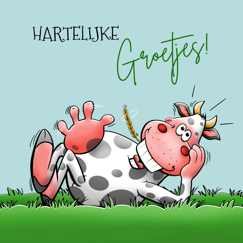 Wenskaarten - Leuke wenskaart met grappige koe hartelijke groetjes