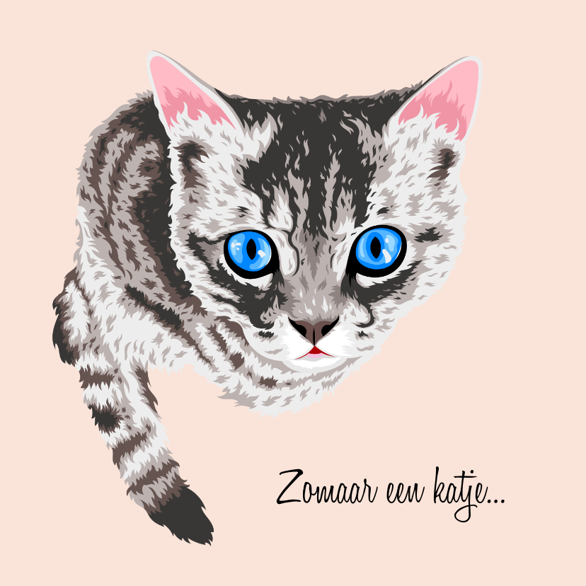 Wenskaarten - Lieve dierenkaart kat