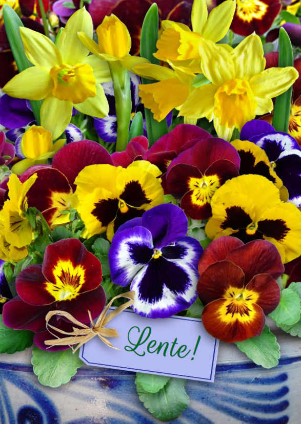 Mooie bloemenkaart lentebloemen in het voorjaar - Wenskaarten Wenskaarten - Mooie bloemenkaart lentebloemen in het voorjaar