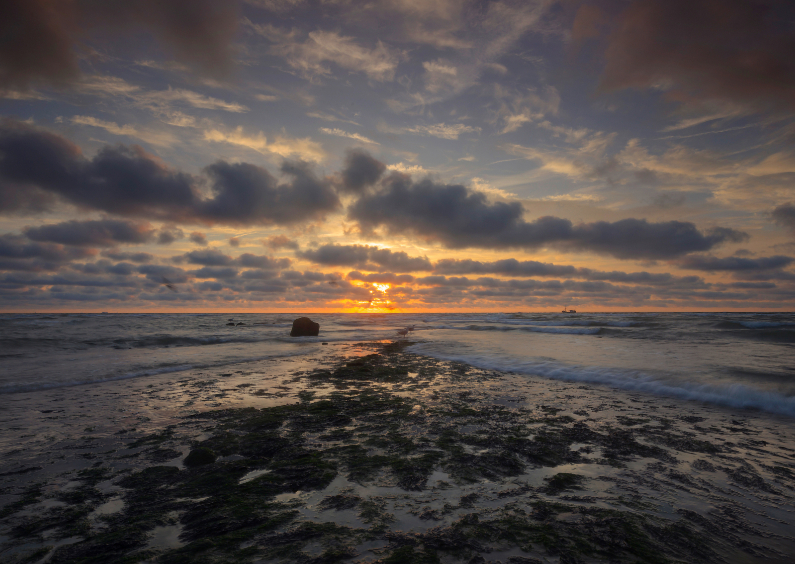 Wenskaarten - Mooie zon langs de kust