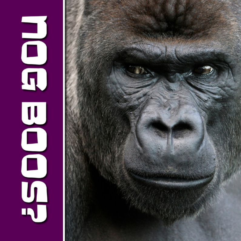 Wenskaarten - NOG BOOS - gorilla - OT