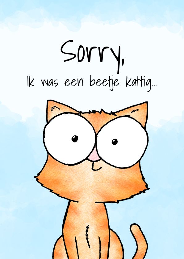 Wenskaarten - Sorry kaart schattige kitten - Ik was een beetje kattig