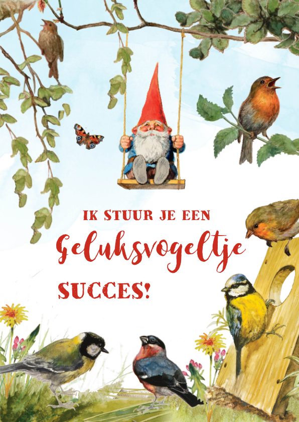 Wenskaarten - Succes kaart geluksvogeltje