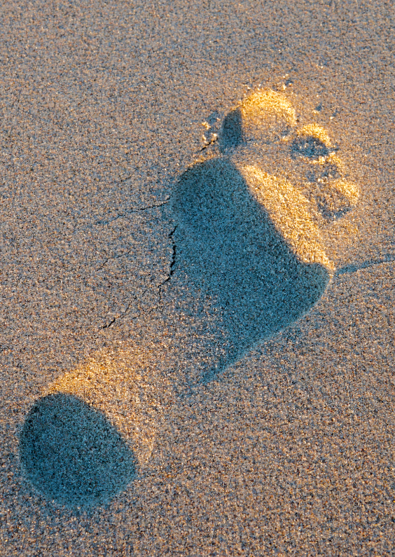 Wenskaarten - Voetstap in het zand