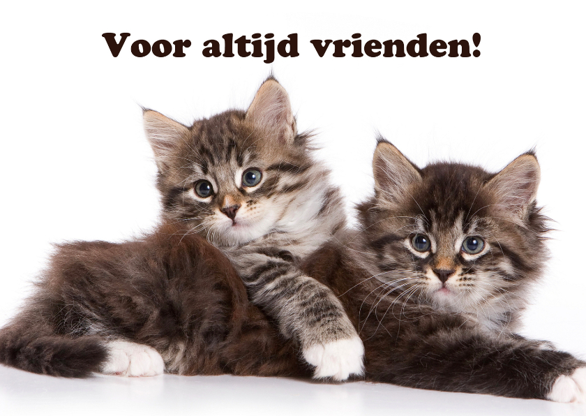 Wenskaarten - Voor altijd vrienden