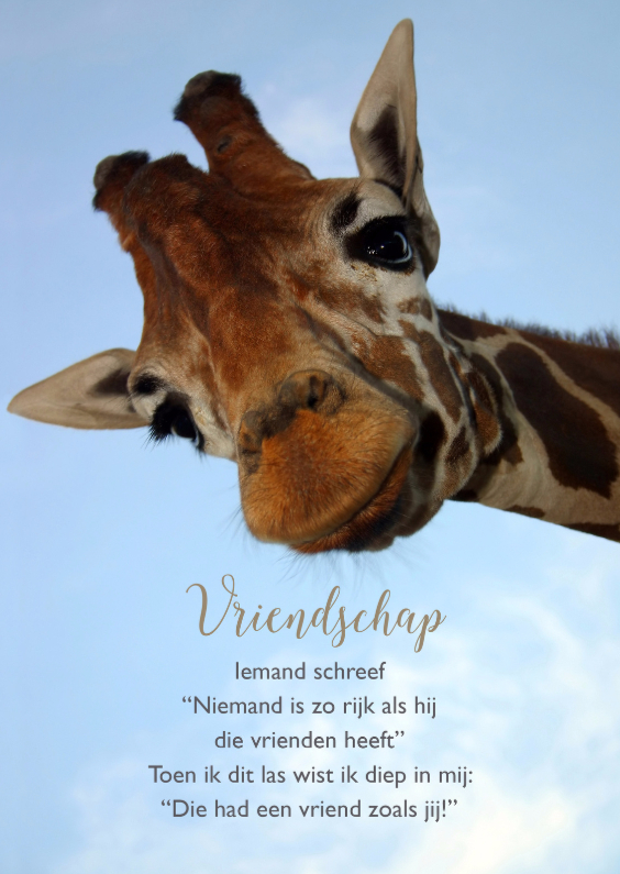Vriendschap kaart giraf met gedicht - Wenskaarten Wenskaarten - Vriendschap kaart giraf met gedicht
