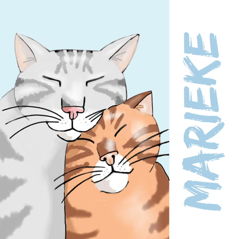 Wenskaarten - Vriendschap - twee katten voor jou