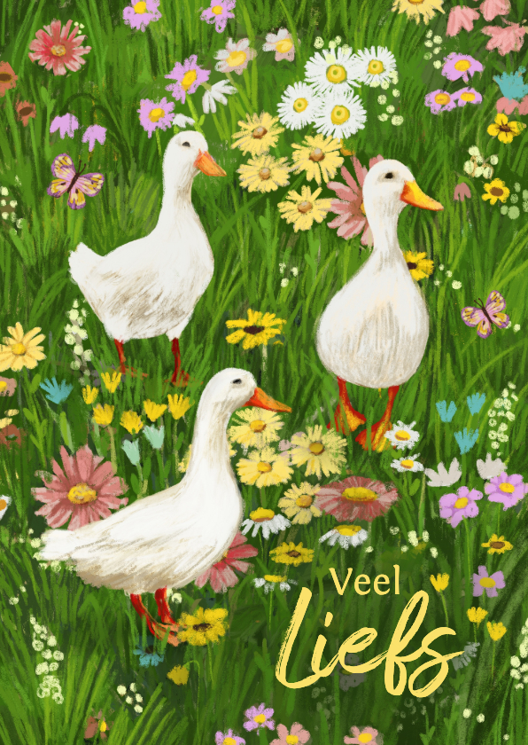 Wenskaarten - Vrolijke kaart met ganzen in een veld vol bloemen