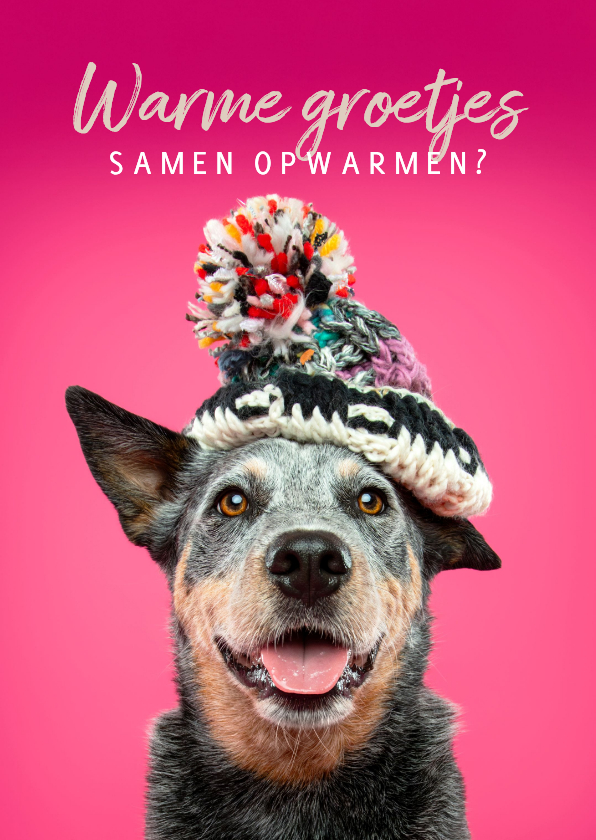 Wenskaarten - Warme winterse groet van hond met wintermuts