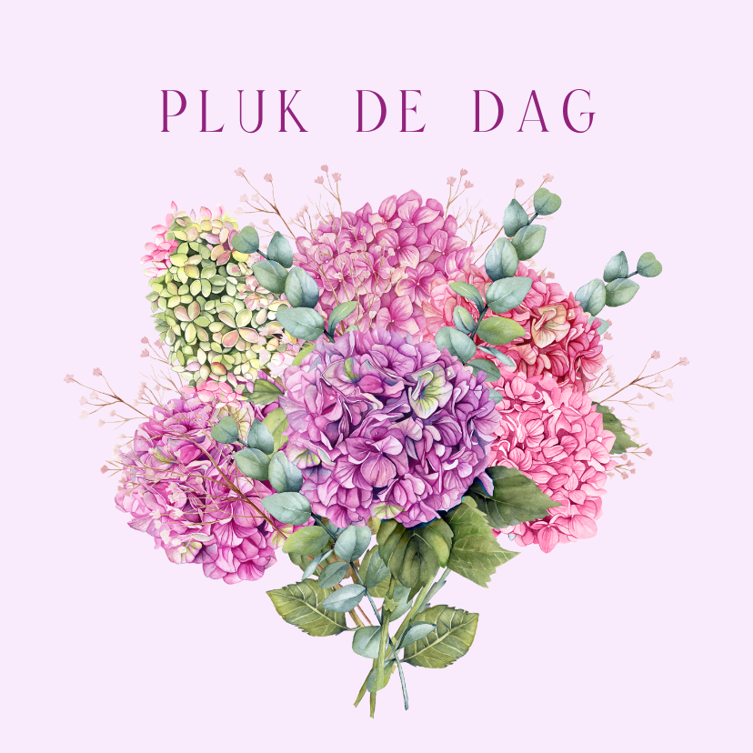 Wenskaart boeket hortensia's - Wenskaarten Wenskaarten - Wenskaart boeket hortensia's